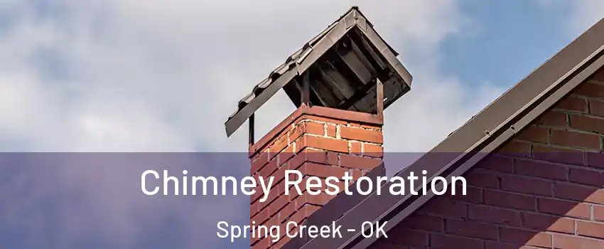 Chimney Restoration Spring Creek - OK