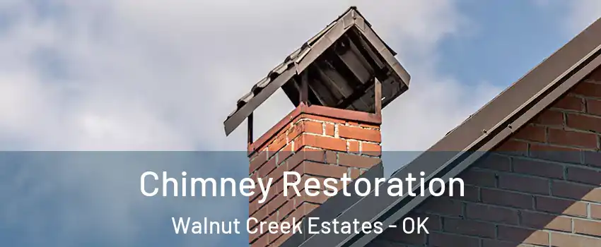Chimney Restoration Walnut Creek Estates - OK