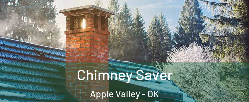 Chimney Saver Apple Valley - OK