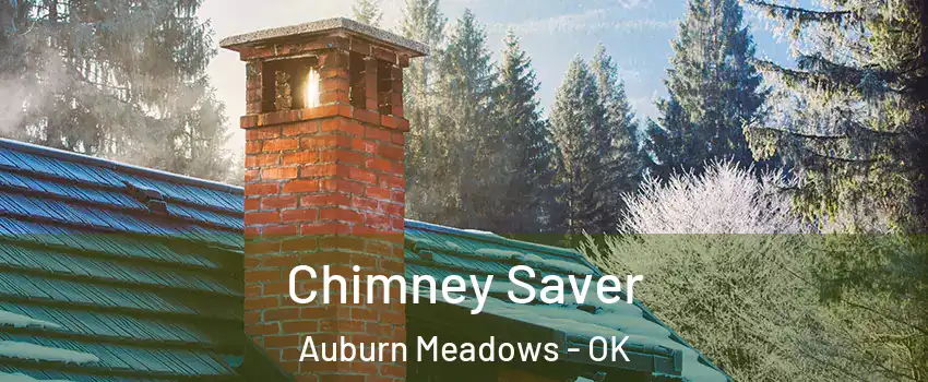 Chimney Saver Auburn Meadows - OK
