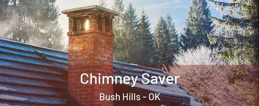 Chimney Saver Bush Hills - OK