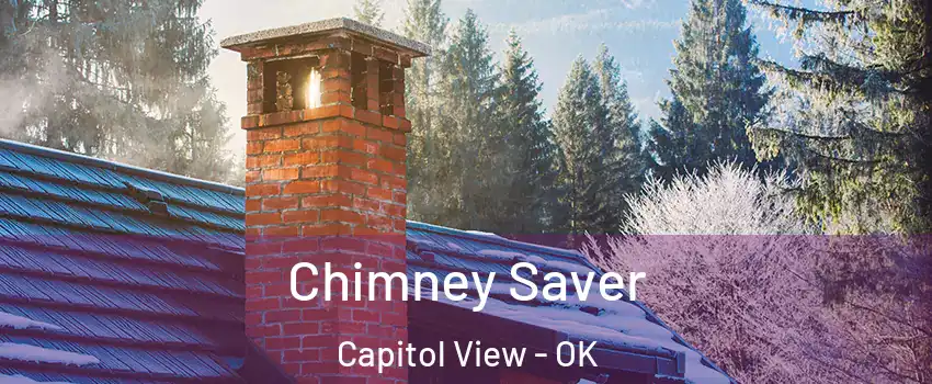 Chimney Saver Capitol View - OK