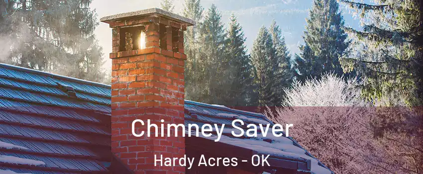 Chimney Saver Hardy Acres - OK