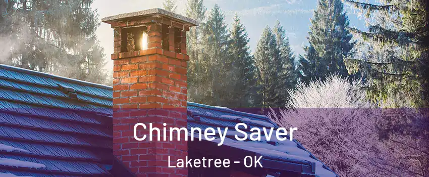 Chimney Saver Laketree - OK