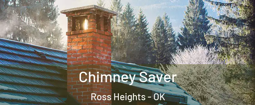 Chimney Saver Ross Heights - OK