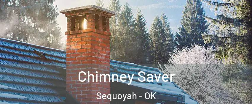 Chimney Saver Sequoyah - OK