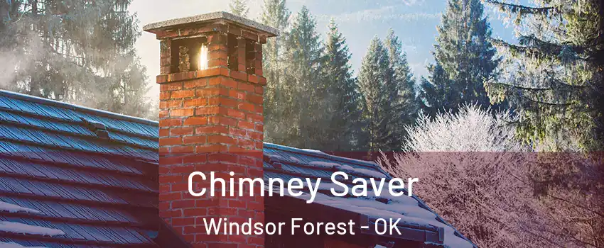 Chimney Saver Windsor Forest - OK