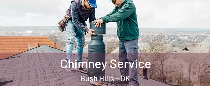 Chimney Service Bush Hills - OK