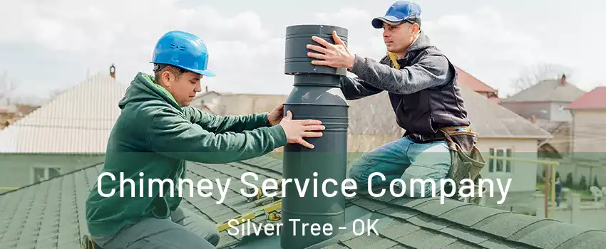 Chimney Service Company Silver Tree - OK