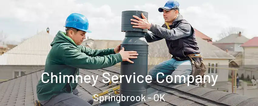 Chimney Service Company Springbrook - OK