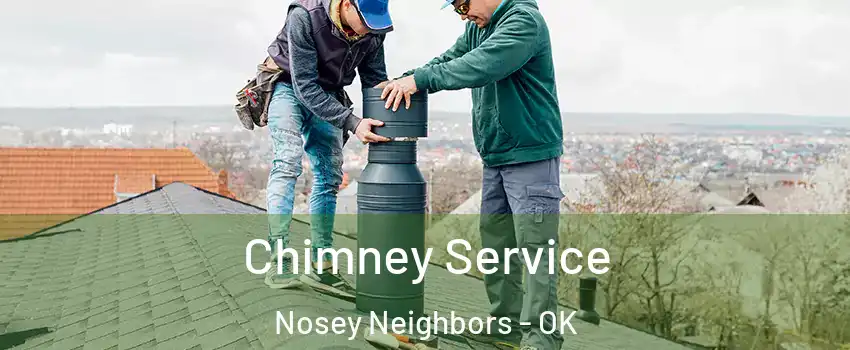 Chimney Service Nosey Neighbors - OK