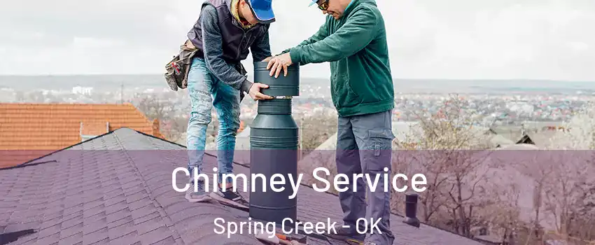 Chimney Service Spring Creek - OK