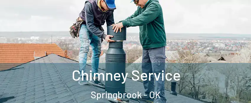 Chimney Service Springbrook - OK