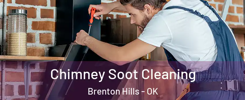Chimney Soot Cleaning Brenton Hills - OK