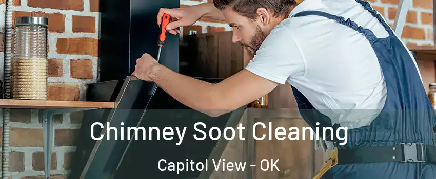 Chimney Soot Cleaning Capitol View - OK