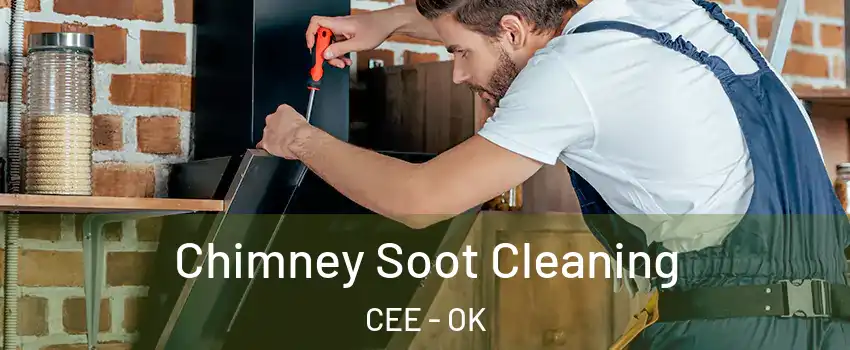 Chimney Soot Cleaning CEE - OK