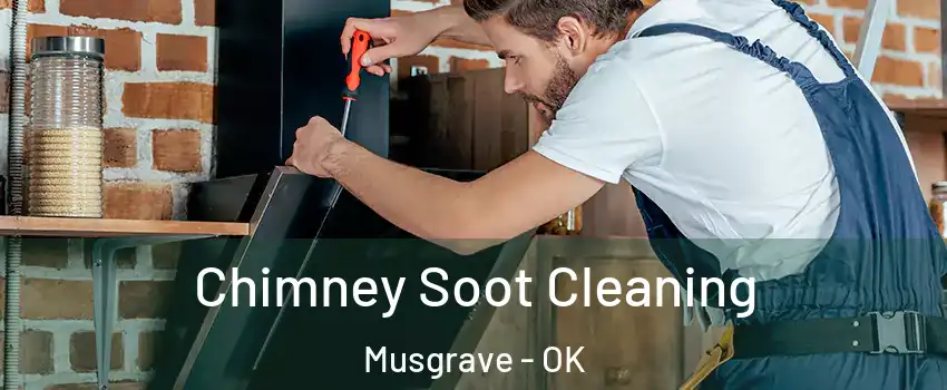 Chimney Soot Cleaning Musgrave - OK