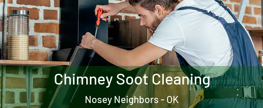 Chimney Soot Cleaning Nosey Neighbors - OK