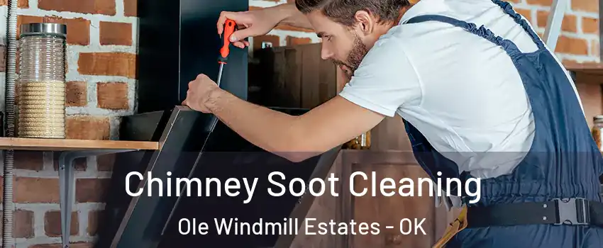 Chimney Soot Cleaning Ole Windmill Estates - OK