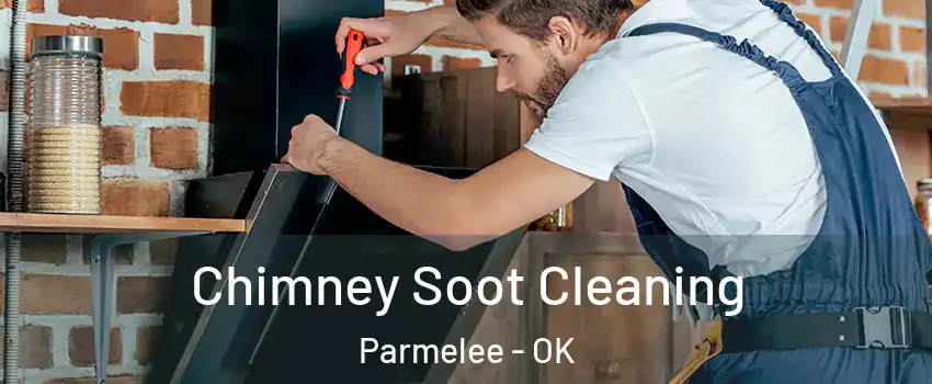 Chimney Soot Cleaning Parmelee - OK