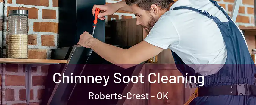 Chimney Soot Cleaning Roberts-Crest - OK