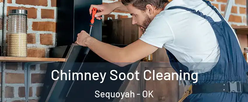 Chimney Soot Cleaning Sequoyah - OK