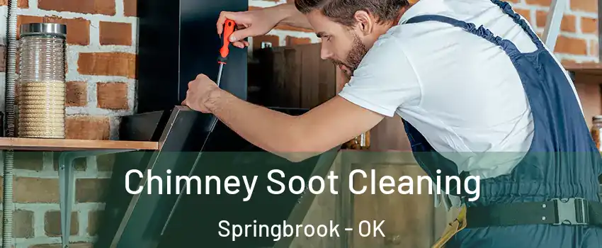Chimney Soot Cleaning Springbrook - OK