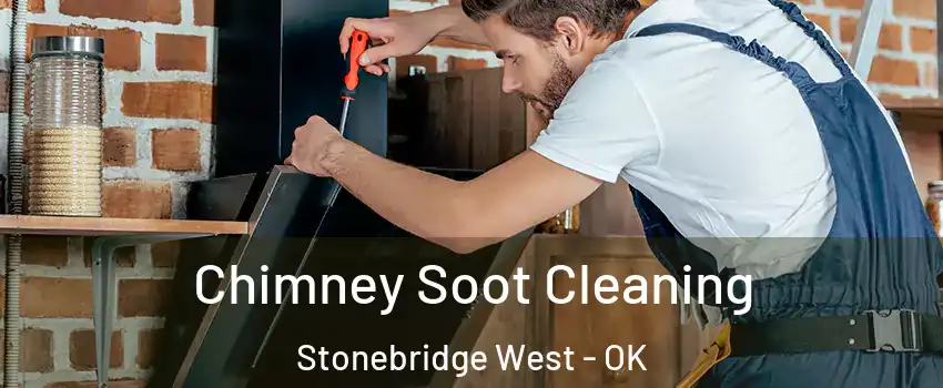 Chimney Soot Cleaning Stonebridge West - OK