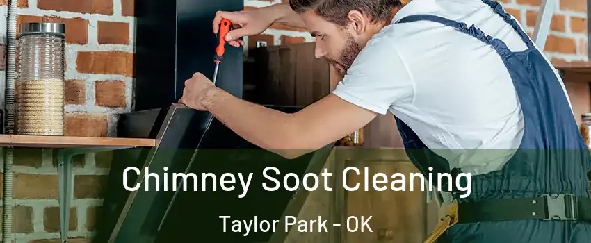 Chimney Soot Cleaning Taylor Park - OK