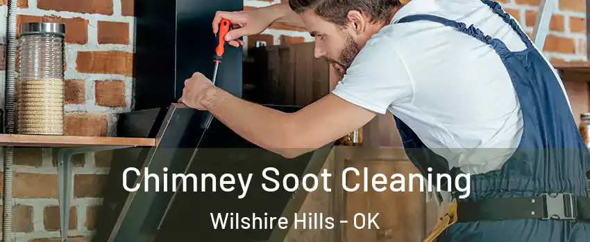 Chimney Soot Cleaning Wilshire Hills - OK