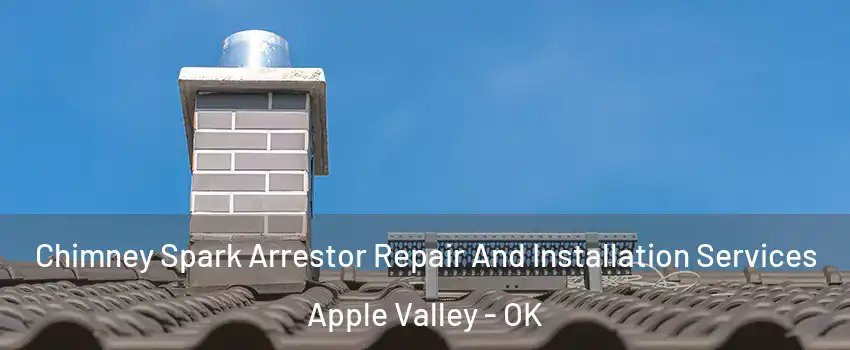 Chimney Spark Arrestor Repair And Installation Services Apple Valley - OK