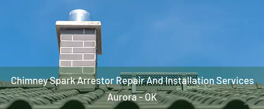 Chimney Spark Arrestor Repair And Installation Services Aurora - OK