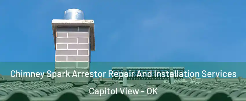 Chimney Spark Arrestor Repair And Installation Services Capitol View - OK