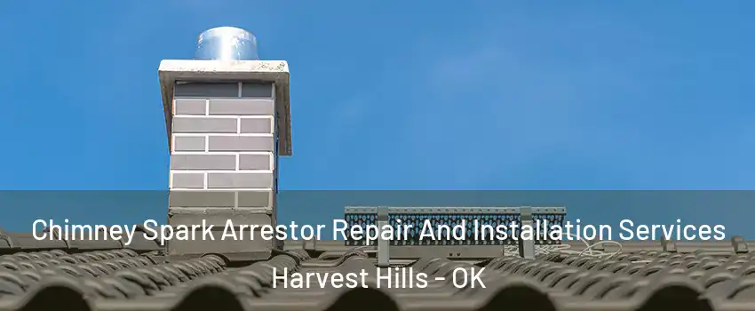 Chimney Spark Arrestor Repair And Installation Services Harvest Hills - OK