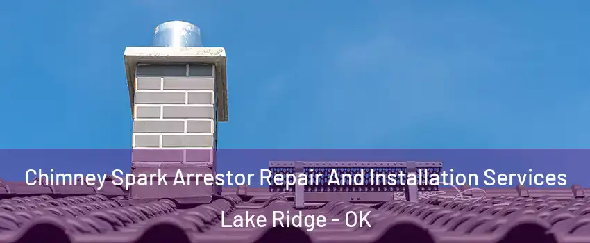 Chimney Spark Arrestor Repair And Installation Services Lake Ridge - OK