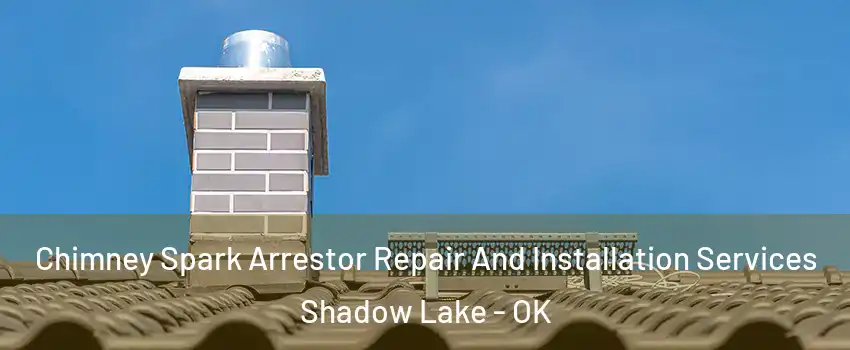 Chimney Spark Arrestor Repair And Installation Services Shadow Lake - OK