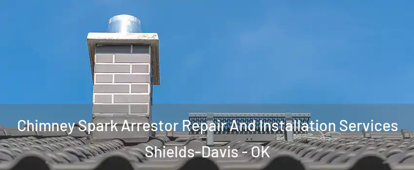 Chimney Spark Arrestor Repair And Installation Services Shields-Davis - OK
