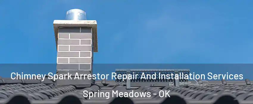 Chimney Spark Arrestor Repair And Installation Services Spring Meadows - OK