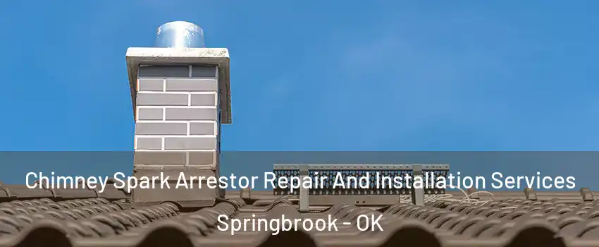 Chimney Spark Arrestor Repair And Installation Services Springbrook - OK