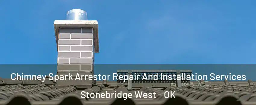 Chimney Spark Arrestor Repair And Installation Services Stonebridge West - OK
