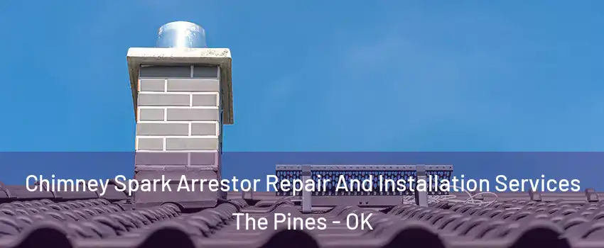 Chimney Spark Arrestor Repair And Installation Services The Pines - OK