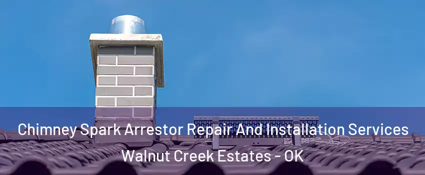 Chimney Spark Arrestor Repair And Installation Services Walnut Creek Estates - OK