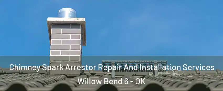 Chimney Spark Arrestor Repair And Installation Services Willow Bend 6 - OK