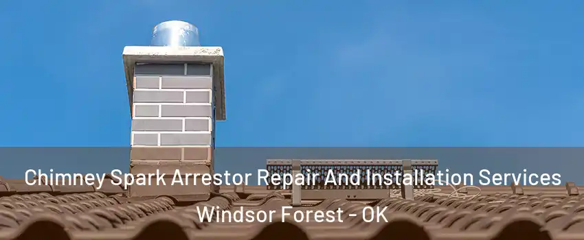 Chimney Spark Arrestor Repair And Installation Services Windsor Forest - OK