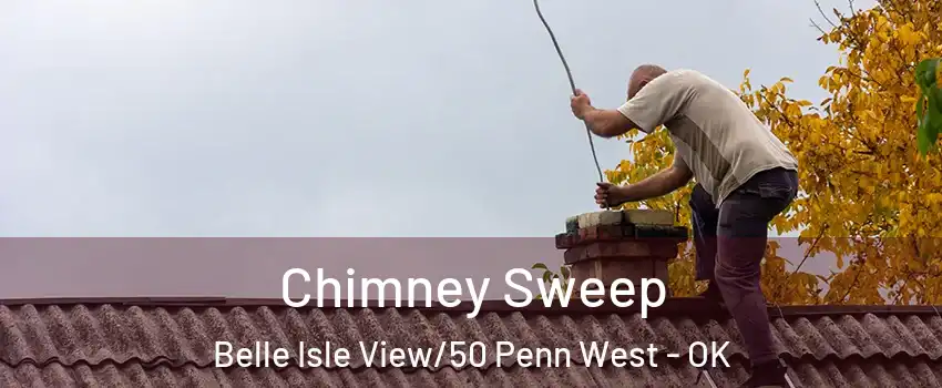 Chimney Sweep Belle Isle View/50 Penn West - OK