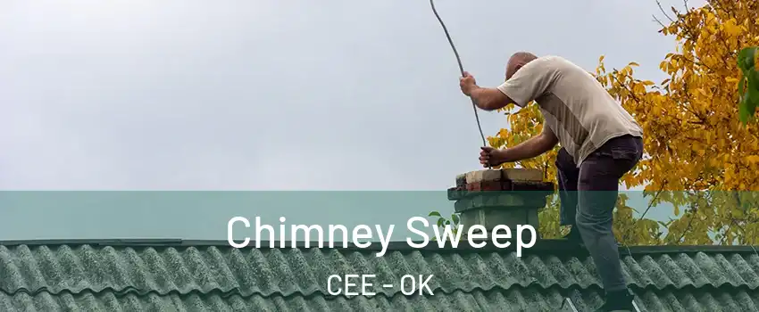 Chimney Sweep CEE - OK