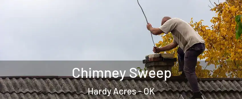 Chimney Sweep Hardy Acres - OK