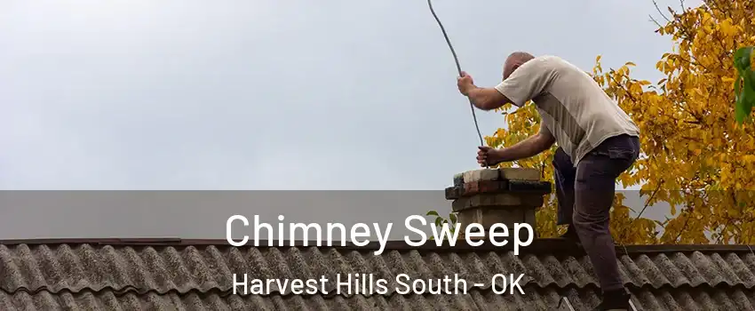 Chimney Sweep Harvest Hills South - OK