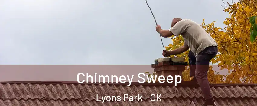 Chimney Sweep Lyons Park - OK