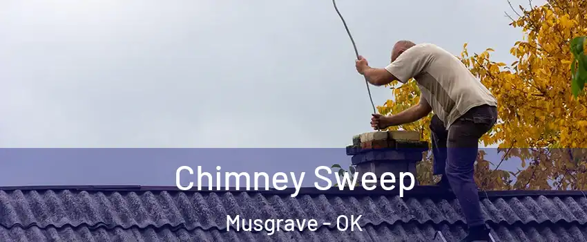 Chimney Sweep Musgrave - OK